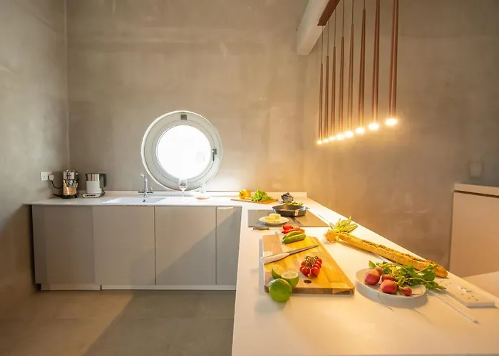 Art House Seviews فيلة بروتاراس