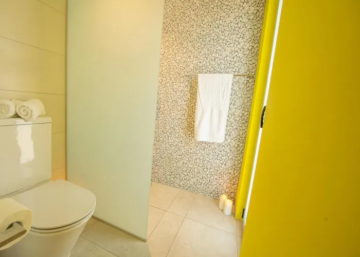 Art House Seviews فيلة بروتاراس