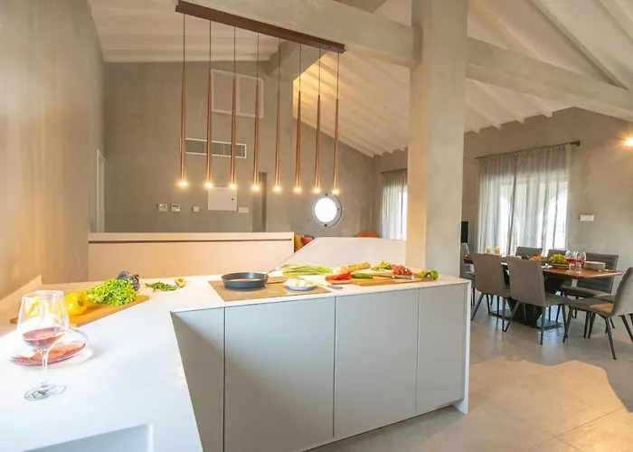 Art House Seviews فيلة بروتاراس