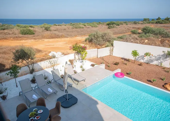 فيلة Art House Seviews