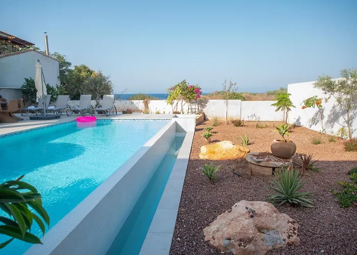 فيلة Art House Seviews